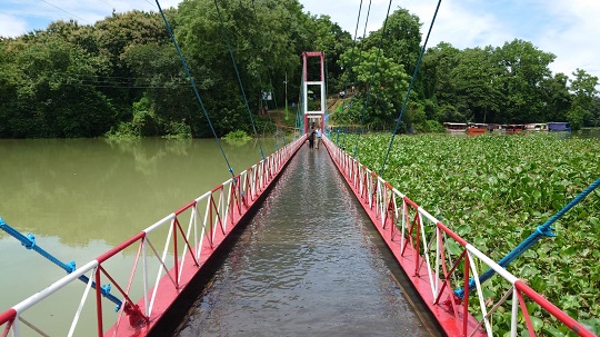 image-here